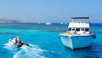 Private dolphin tour and snorkeling
